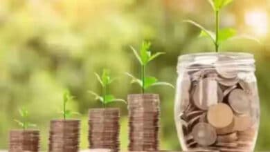 India's Mutual Fund Industry Overview: Rs 81.01 Lakh Crore AUM Recorded in January