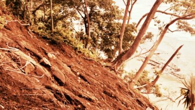 Landslides: