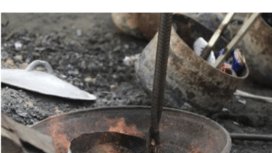 Lead poisoning