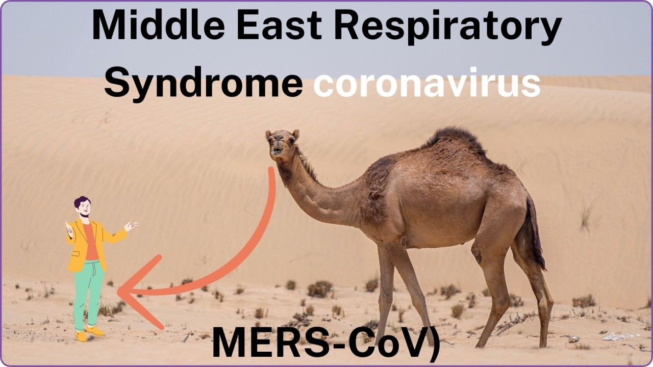 Middle East Respiratory Syndrome (MERS): A Deadly Coronavirus From Camels