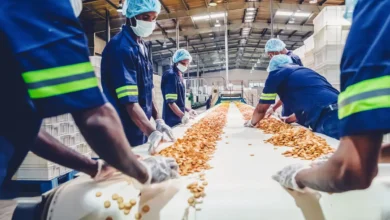 MoFPI Boosts Renewable Energy in Food Processing Sector