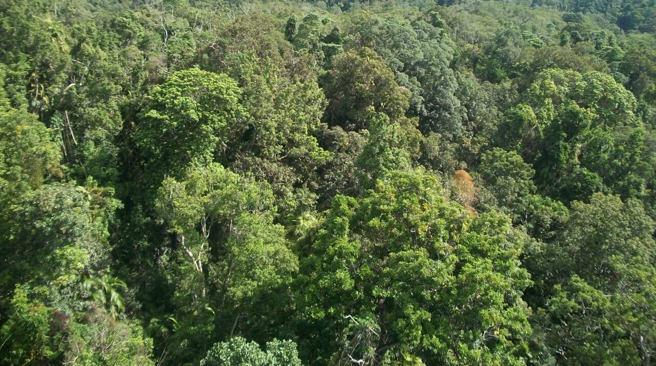 National Biodiversity Authority Disburses Rs 45 Lakh for Ecological Conservation