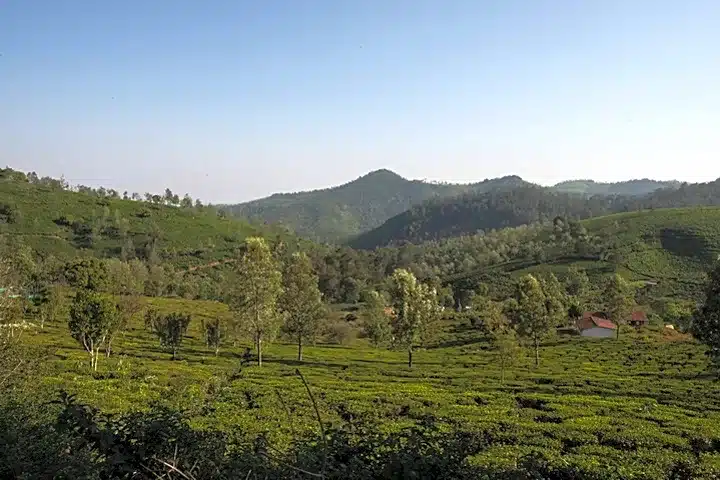 New Initiative to Boost Tribal Homestays and Tourism