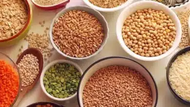 No Duty Concessions on Sensitive Grains, Fruits, and Dairy: Key Takeaways from the India-US Trade Agreement