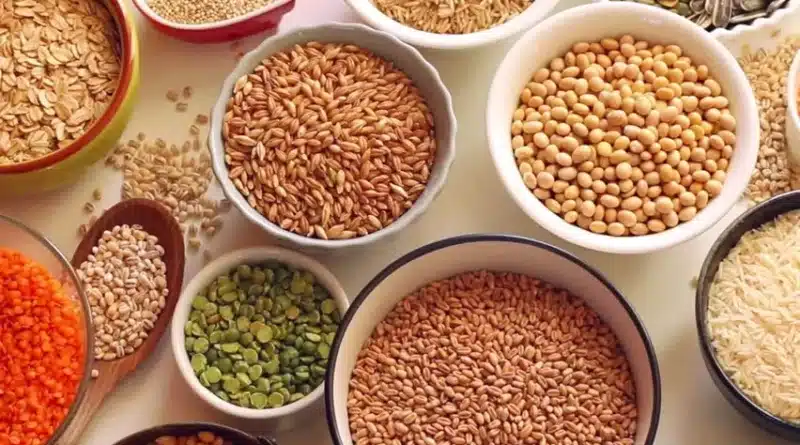 No Duty Concessions on Sensitive Grains, Fruits, and Dairy: Key Takeaways from the India-US Trade Agreement