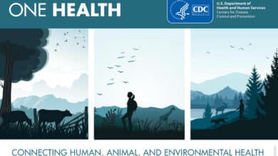 One Health: Connecting Human, Animal, and Environmental Health