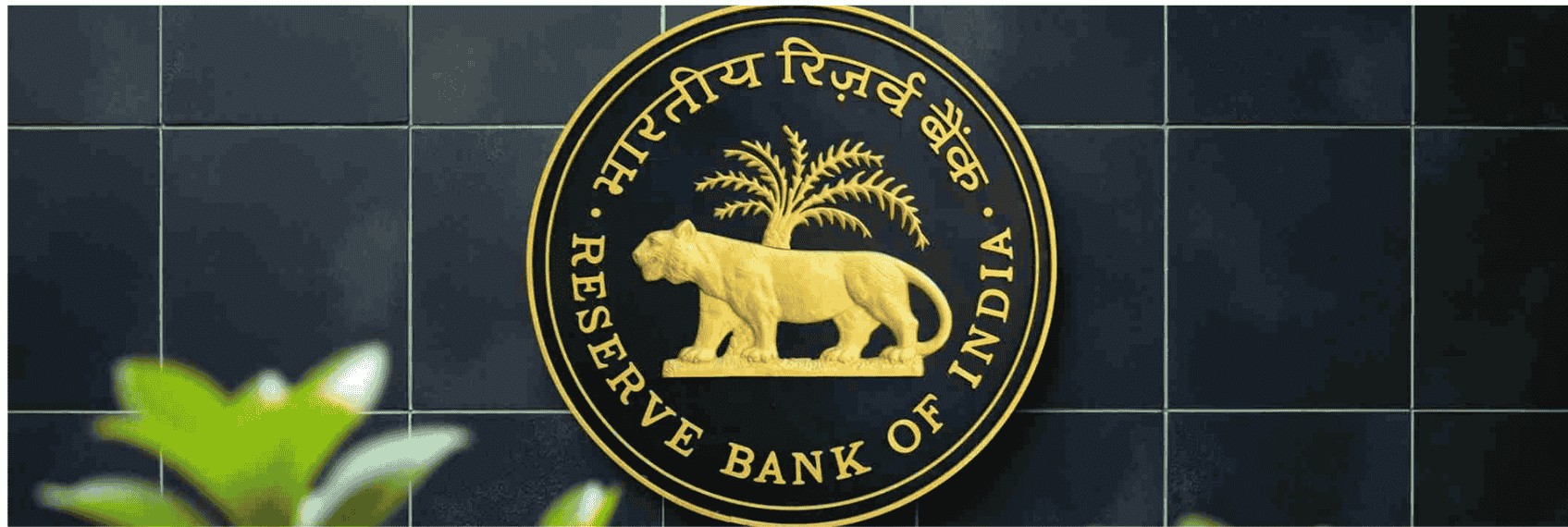 RBI Signals Stability in Policy Rate for the Foreseeable Future