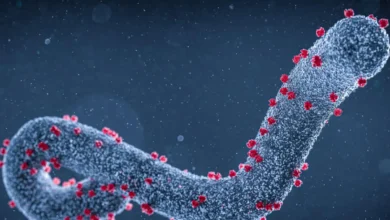 Marburg Virus Disease