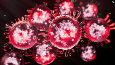 Measles-free status