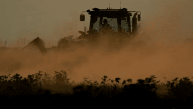 Dust flies