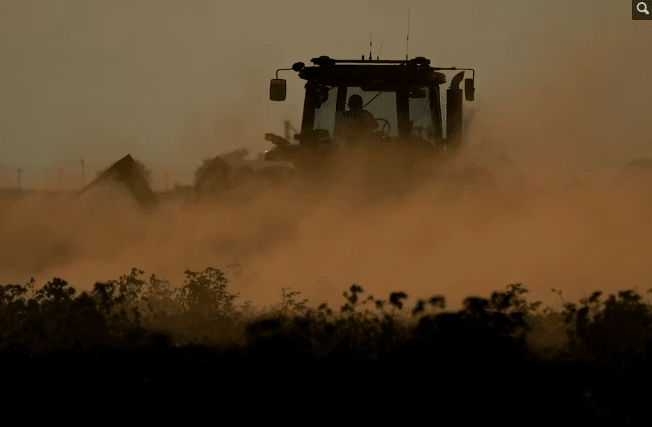 Dust flies