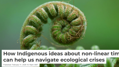 Indigenous ideas