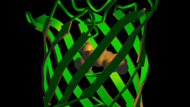 Green fluorescent