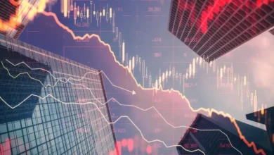 Stock Market Update: Discover Today's Top Gainers and Losers on NSE and BSE - February 6