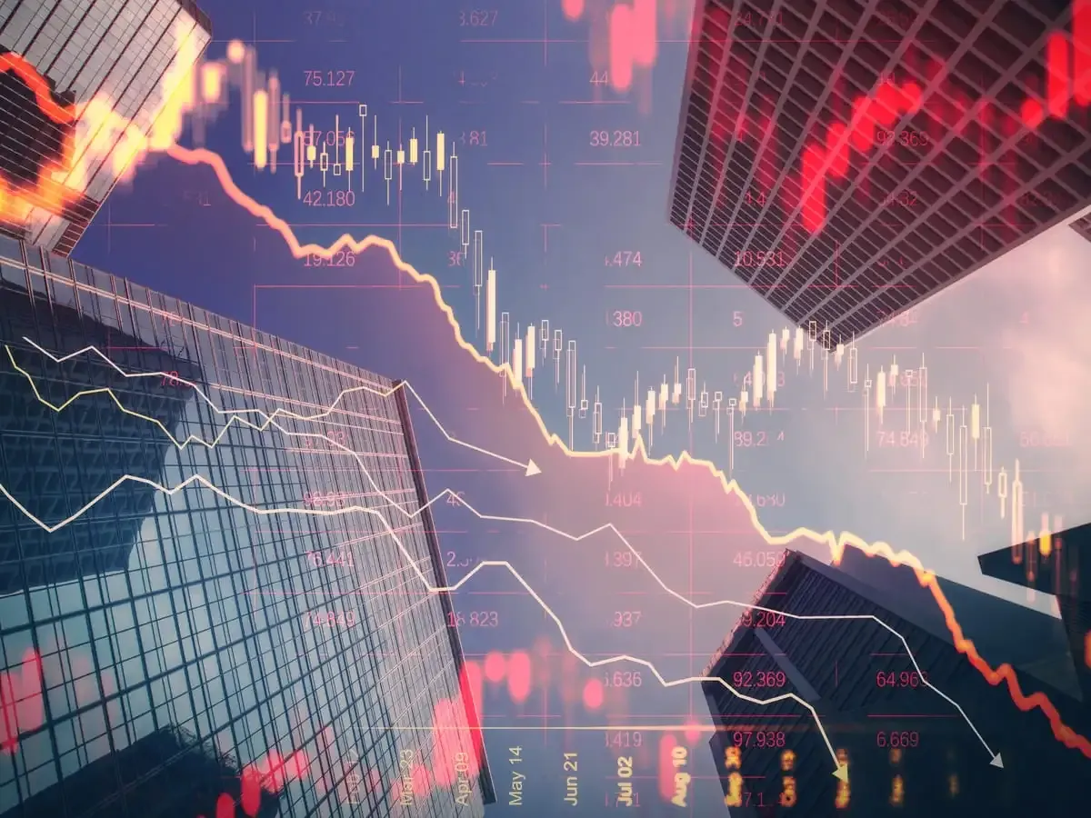 Stock Market Update: Discover Today's Top Gainers and Losers on NSE and BSE - February 6