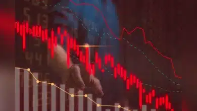 Stock Market Update: Discover Today's Top Gainers and Losers on NSE and BSE for February 12