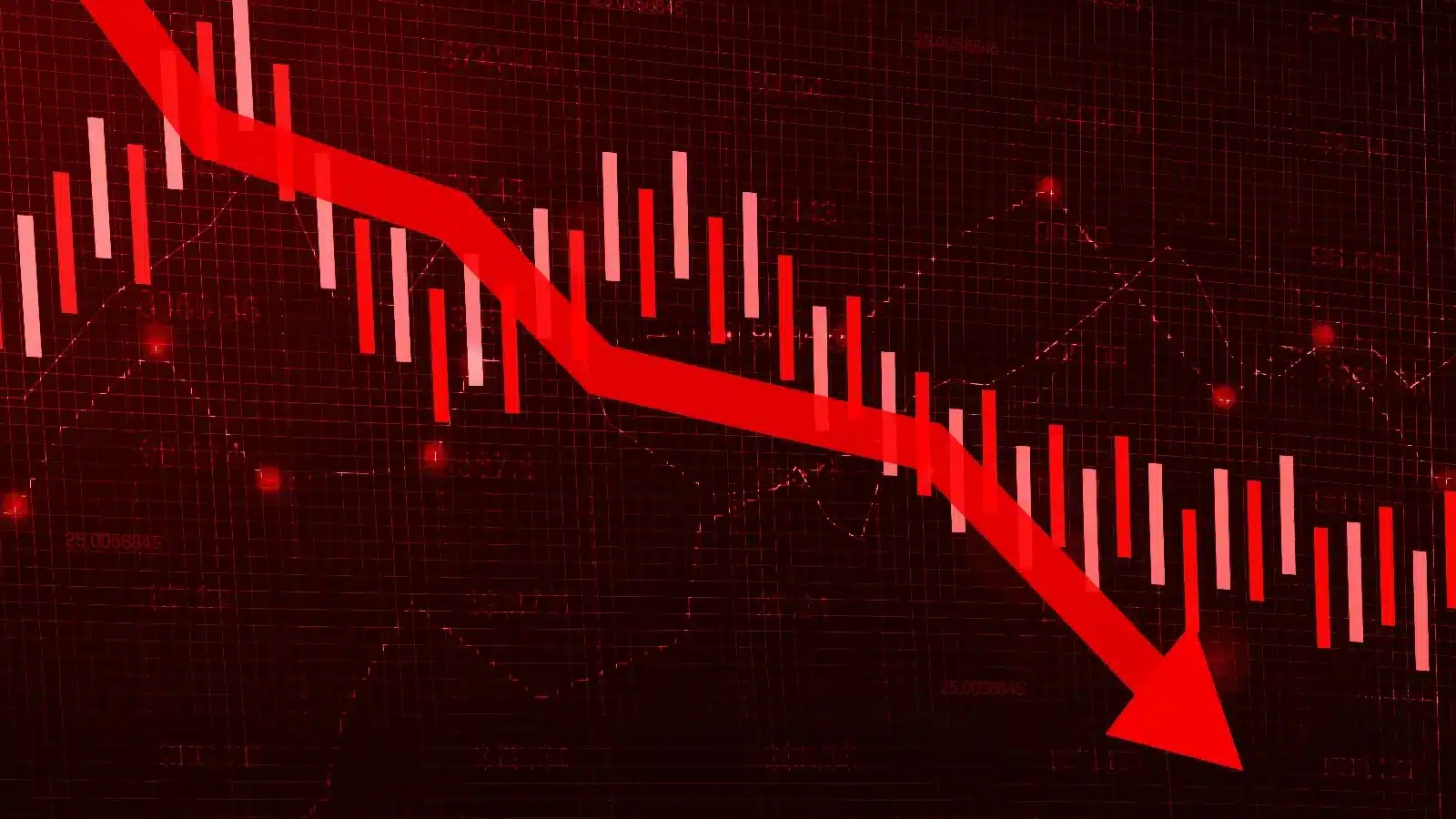 Stock Market Update: Discover Today's Top Gainers and Losers on NSE and BSE for February 13