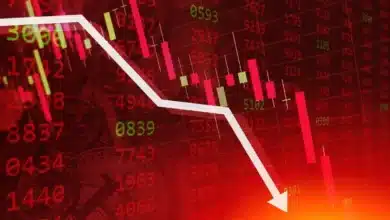 Today's Stock Market Update: Discover the Top Gainers and Losers on NSE and BSE