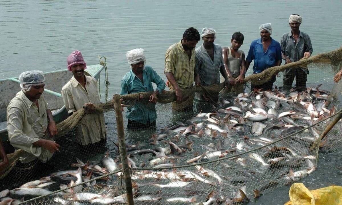Telangana Boosts Fisheries Development with PMMSY Support