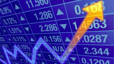 Top Stock Recommendations: Nifty Outlook for the Week of February 16-20