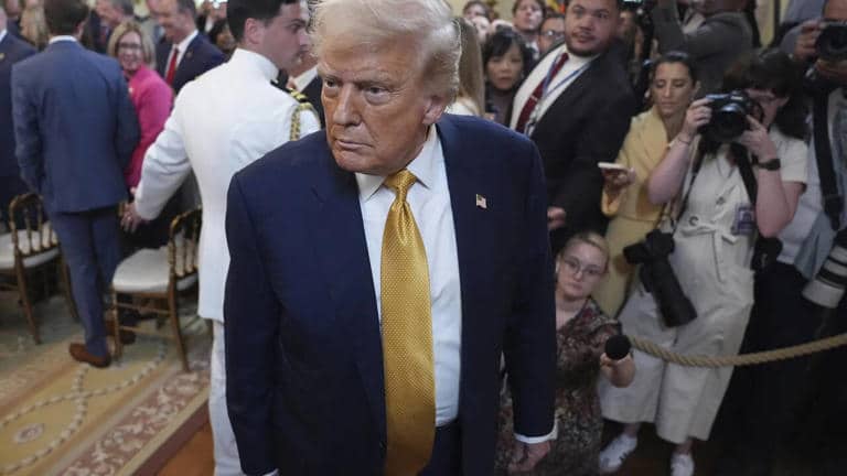 Trump's Tariffs Overturned: SBI Proposes a 'Counter-Intuitive' Strategy for Companies