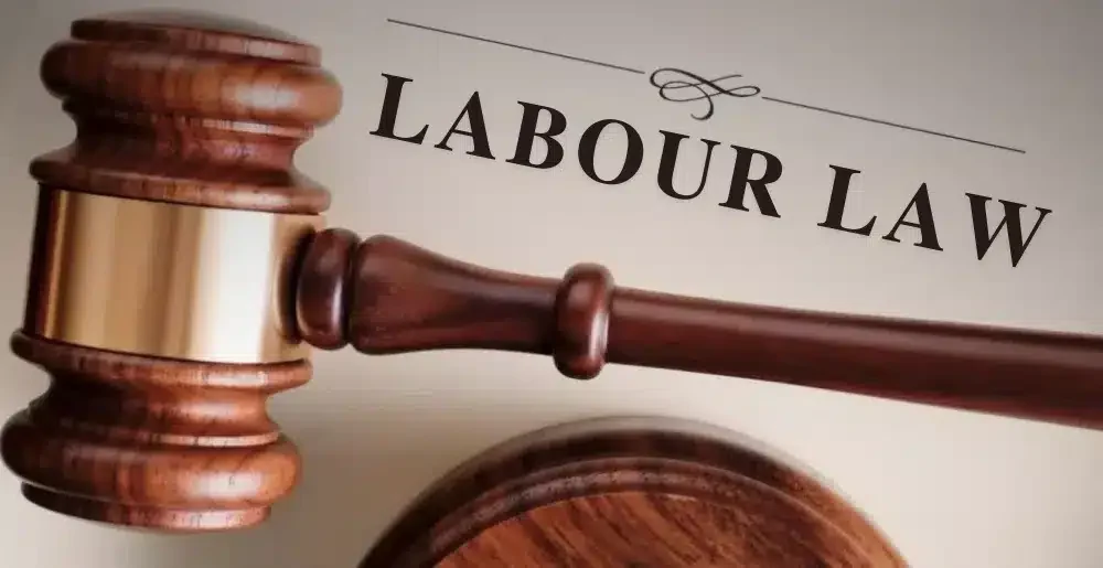 New Executive Programme on Labour Law Now Open for Enrollment