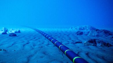 Understanding the Singapore-India-Gulf Subsea Cable System Backed by UAE's du for Enhanced Data Connectivity