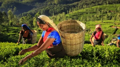 Union Budget 2026: Enhancing Technology Access for Farmers to Improve Income and Decision-Making