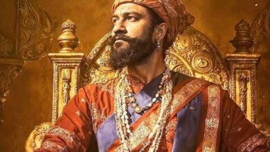 Vicky Kaushal Marks One Year of 'Chhaava', Expresses Gratitude for Fans' Special Support