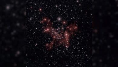 Astronomers Unveil Magnetic Skeletons of Molecular Clouds Near Milky Way