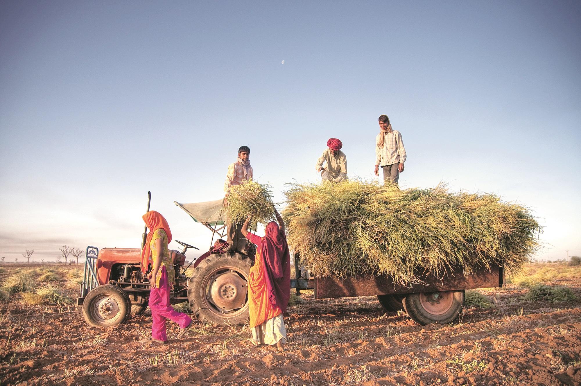 Government Boosts Farmers' Income with New Credit Schemes