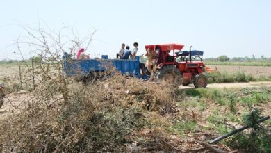 Government Prioritizes Farmers' Income with Strategic Initiatives