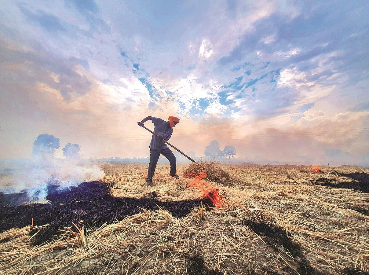 Government Reinforces Fight Against Crop Residue Burning in Delhi NCR