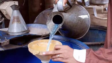 Hormuz Energy Crisis: Government Launches 60-Day PDS Kerosene Initiative to Alleviate LPG Burden on Consumers