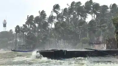IMD's Accurate Cyclone Warnings Save Lives During Ditwah