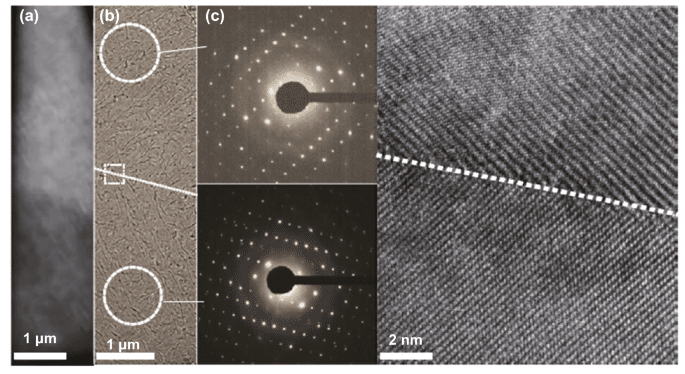 Innovative Quasi-2D Tellurium Nanosheets Propel Clean Hydrogen Tech