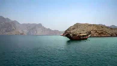 International Energy Agency Warns Limited Relief from IEA's 400 Million-Barrel Oil Release if Hormuz Remains Closed