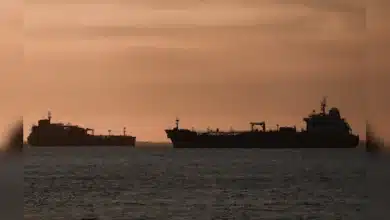 Iran Establishes Shipping Corridor Offering Safe Passage for Vessels Near Strait of Hormuz
