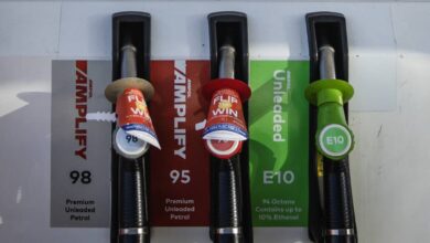 Is E10 fuel bad for my car? And could it save me money?