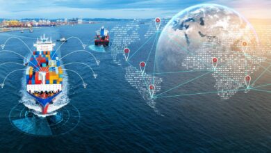 Maritime Regulator Intervenes to Address 'Opportunistic Pricing' Practices by Shipping Companies
