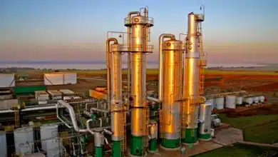 Oil Companies Advocate for Ethanol as a Sustainable Cooking Fuel to Reduce LPG Import Reliance