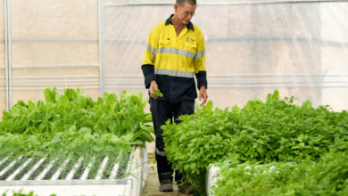 Protected cropping