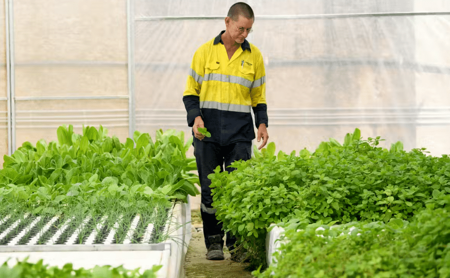 Protected cropping