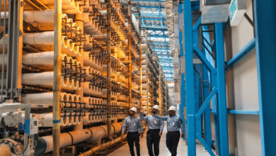 The internal workings of desalination
