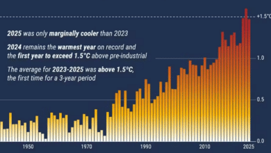The Earth’s climate