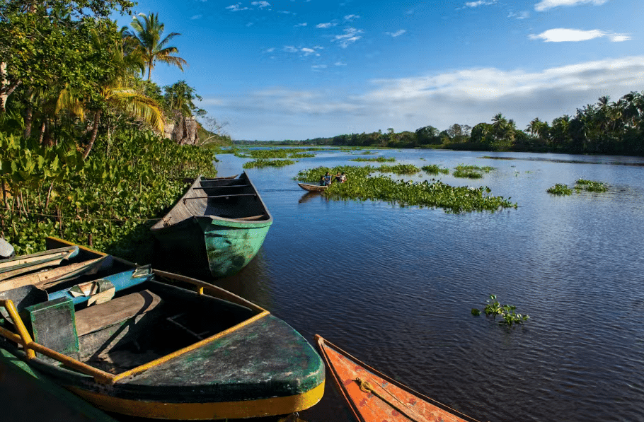 A view along the Orinoco River