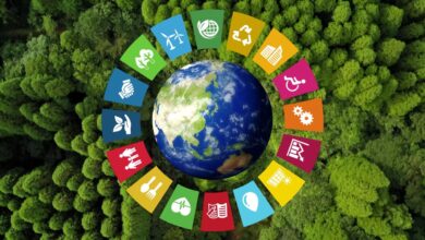 WHO sustainable development goals monitoring dashboard showing health indicators and progress toward 2030 targets across global regions