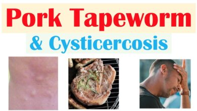 Diagram showing Taenia solium lifecycle illustrating taeniasis and cysticercosis transmission between humans and pigs in endemic regions