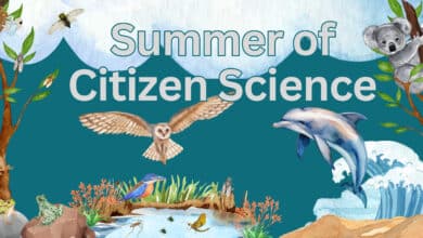 There may be 10 times as many citizen scientists in Australia as we thought – and that’s great news for science