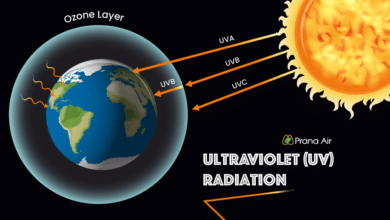 WHO ultraviolet radiation exposure map showing global UV index levels and skin cancer risk zones worldwide